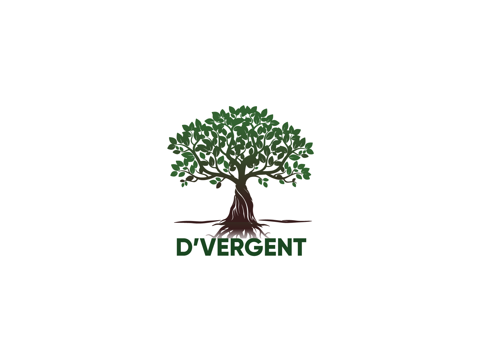  D’vergent Logo Design