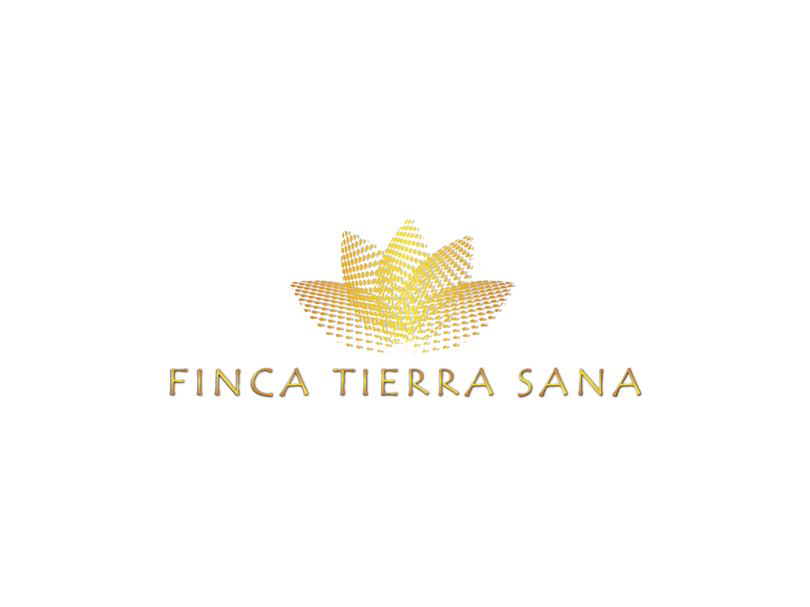  Finca Tierra Sana Logo Design